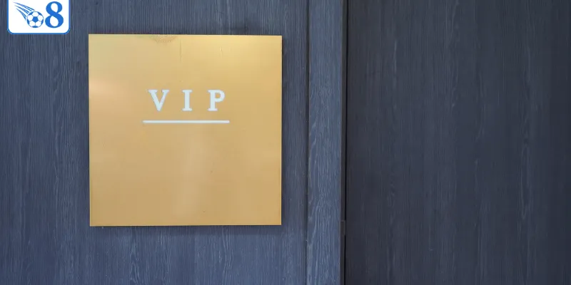VIP O8 – Hệ Thống Thành Viên Cao Cấp Với Ưu Đãi Độc Quyền 1 Thông tin hoạt động VIP
